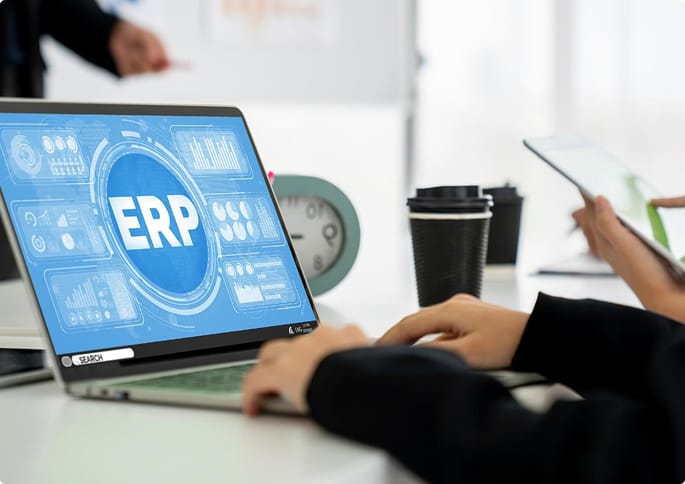 ERP CONSULTATION